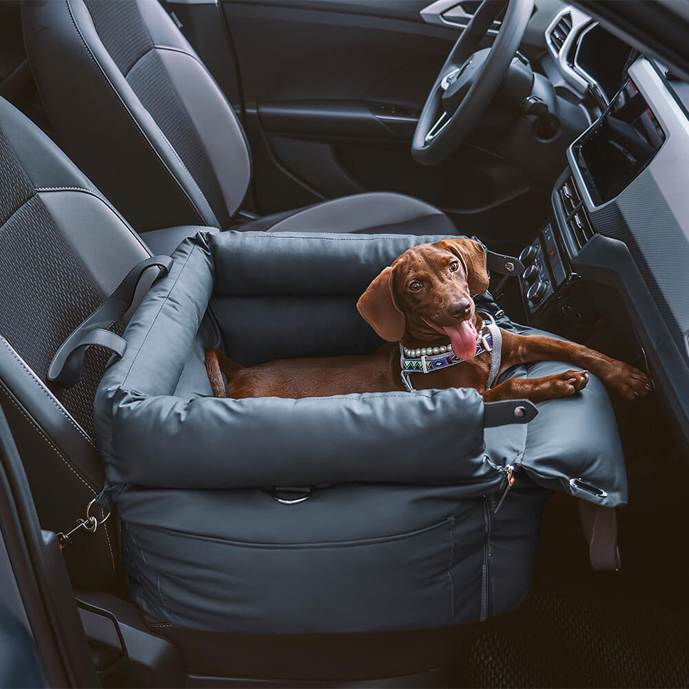 CloudyPaw™ Deluxe Co-driver Carrier