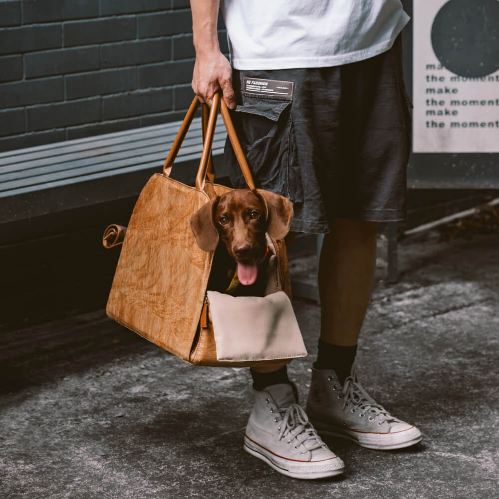 CloudyPaw™ Portable Leather Pet Travel Carrier