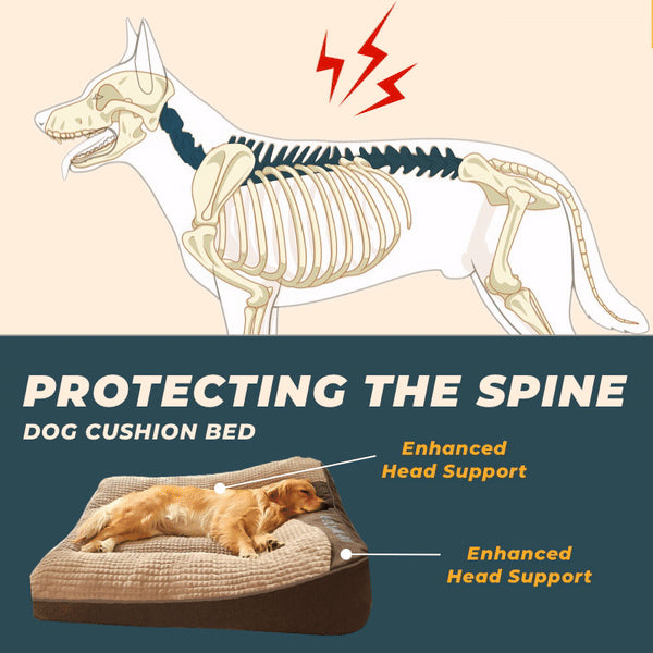 CloudyPaw™ Orthopedic Spinal Support Bed