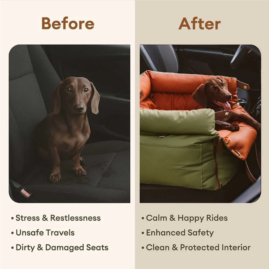 CloudyPaw™ Deluxe Co-driver Carrier