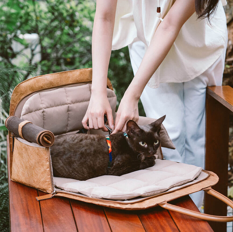 CloudyPaw™ Portable Leather Pet Travel Carrier