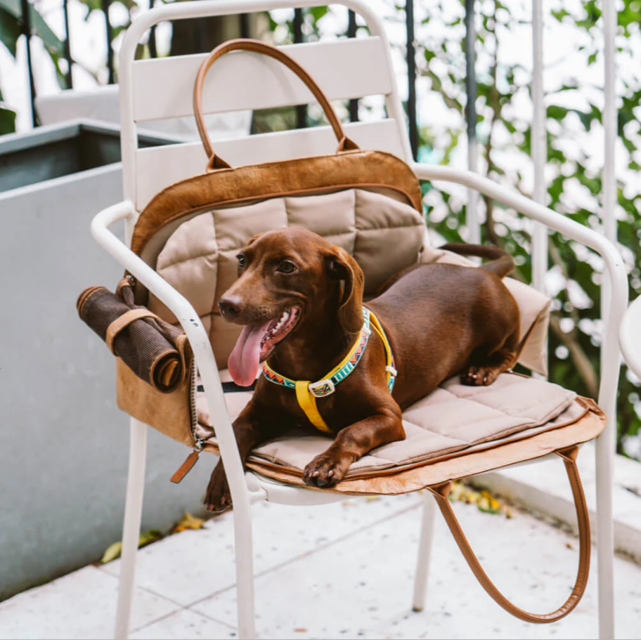 CloudyPaw™ Portable Leather Pet Travel Carrier