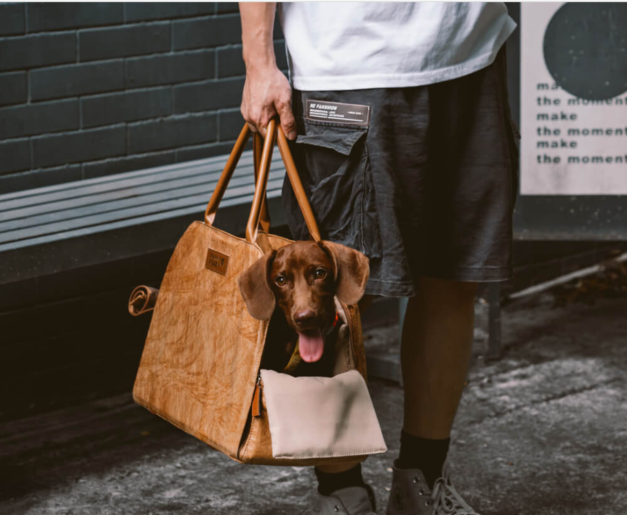 CloudyPaw™ Portable Leather Pet Travel Carrier