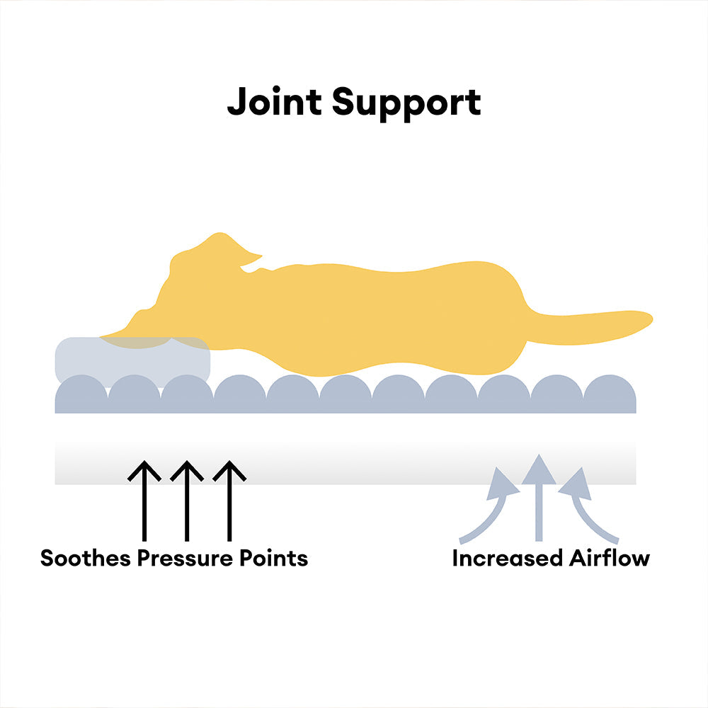 CloudyPaw™ Orthopedic Comfort sofa