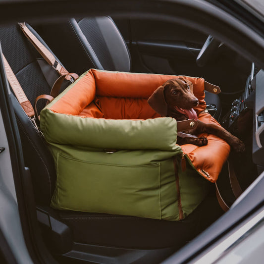 CloudyPaw™ Deluxe Co-driver Carrier