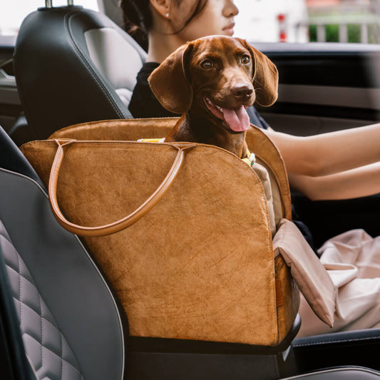 CloudyPaw™ Portable Leather Pet Travel Carrier