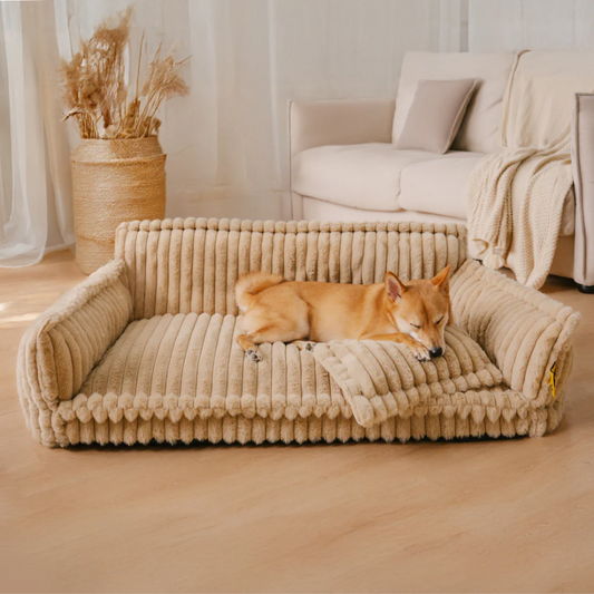 CloudyPaw™ Orthopedic Comfort sofa