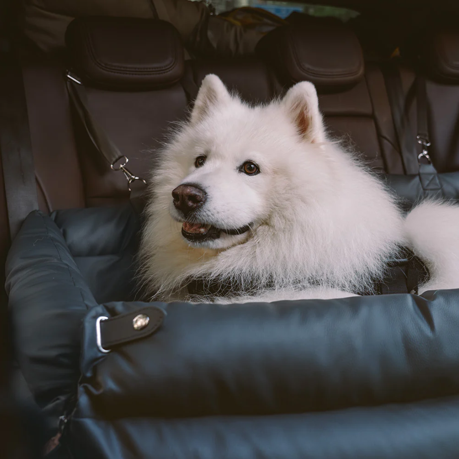CloudyPaw™ Deluxe Back Seat Carrier
