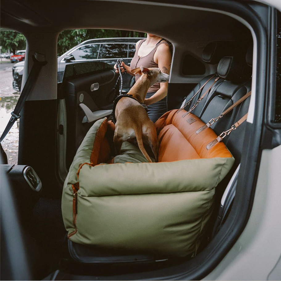 CloudyPaw™ Deluxe Back Seat Carrier