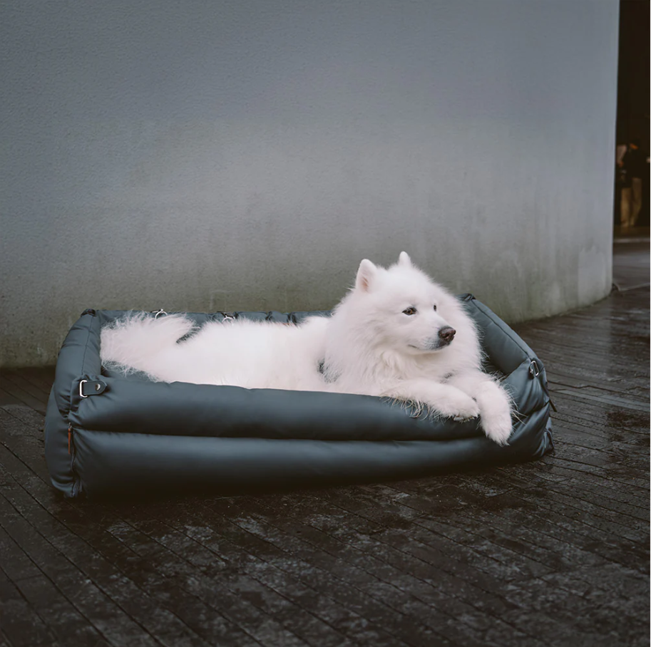 CloudyPaw™ Deluxe Back Seat Carrier