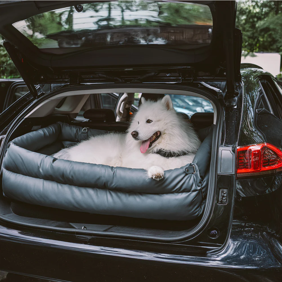 CloudyPaw™ Deluxe Back Seat Carrier