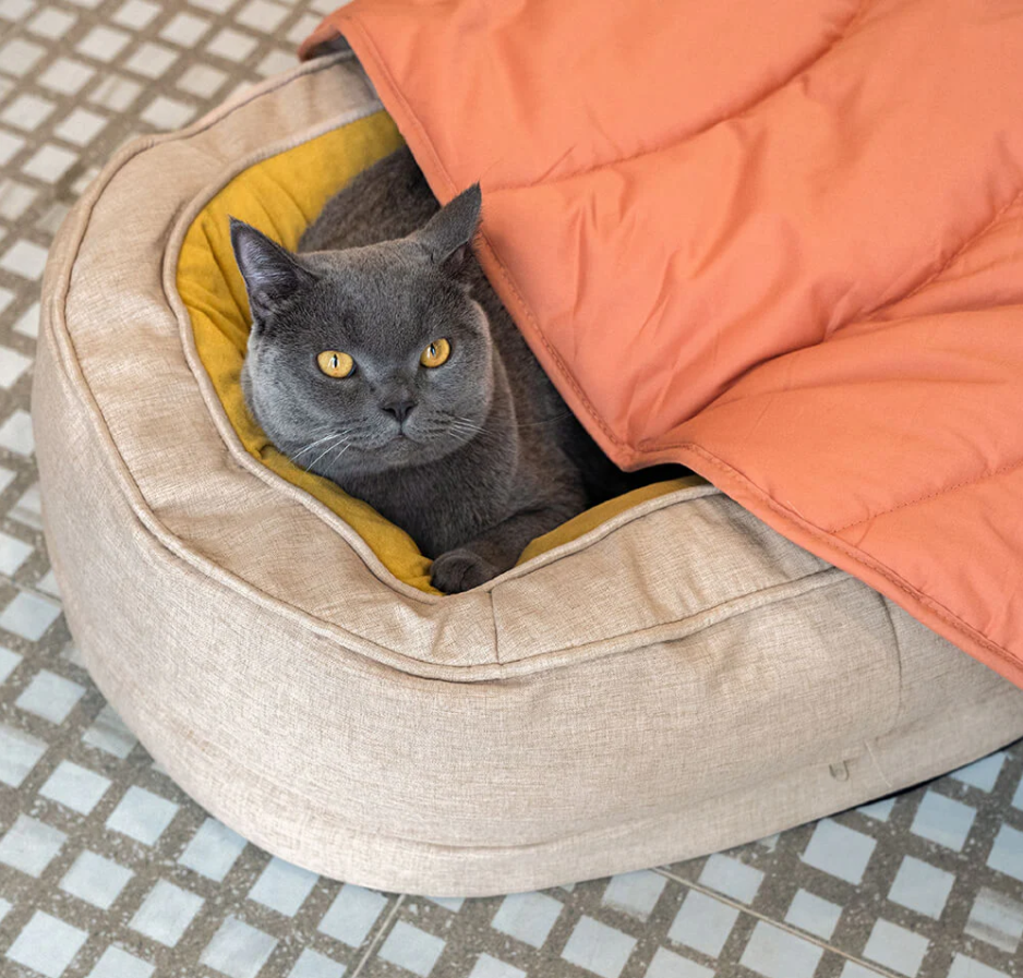 CloudyPaw™ Orthopedic Memory Foam Donut Bed