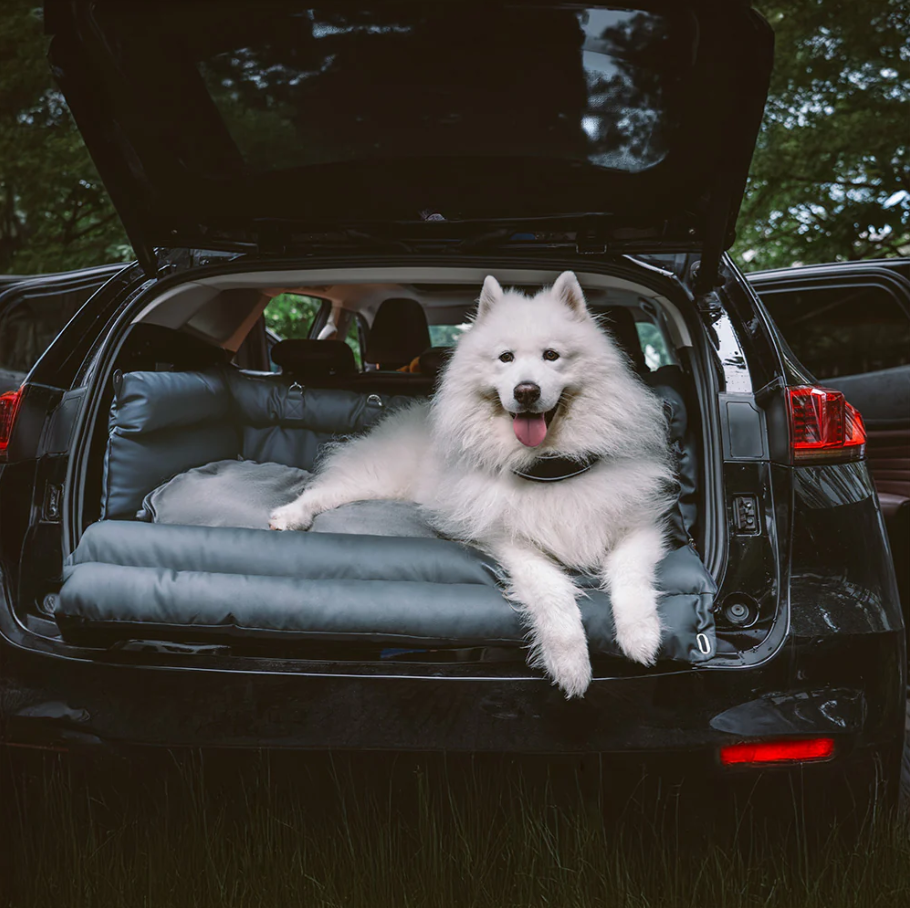 CloudyPaw™ Deluxe Back Seat Carrier