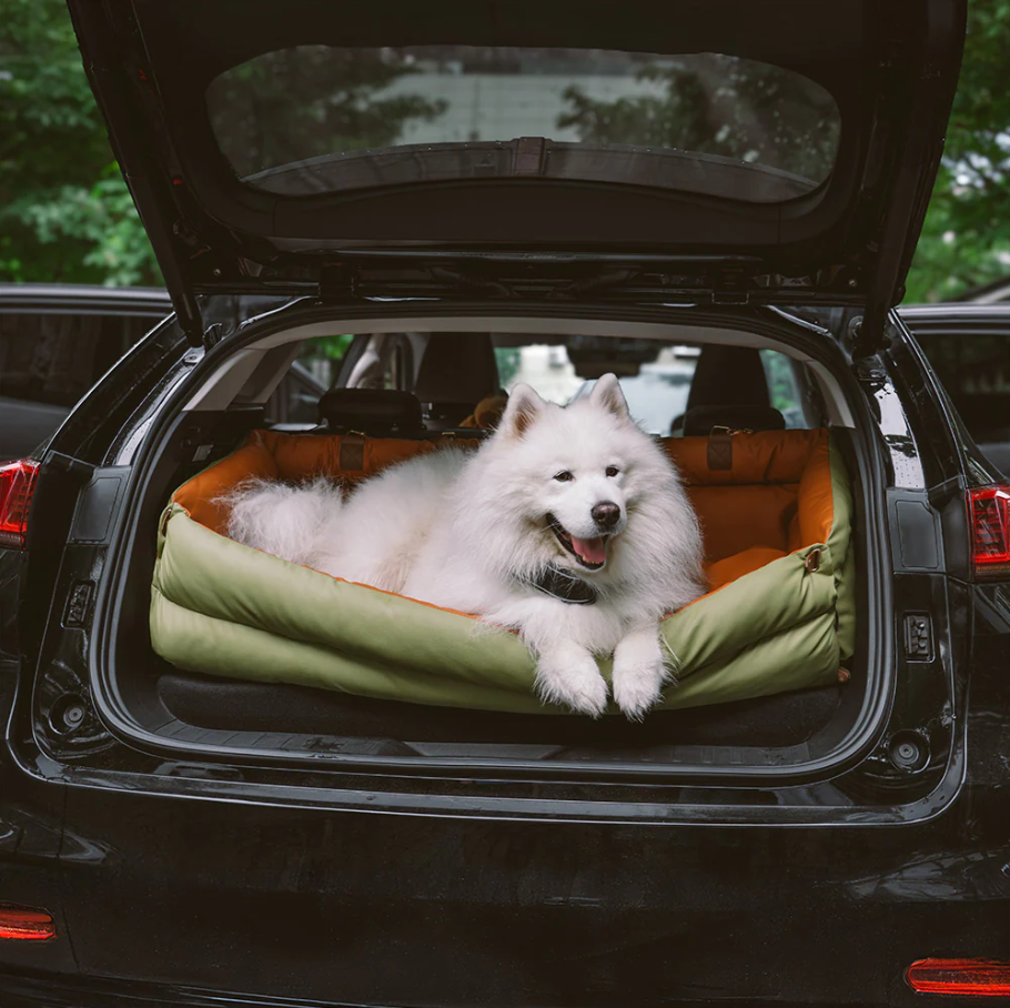 CloudyPaw™ Deluxe Back Seat Carrier