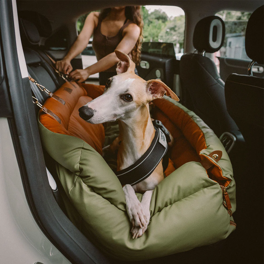 CloudyPaw™ Deluxe Back Seat Carrier