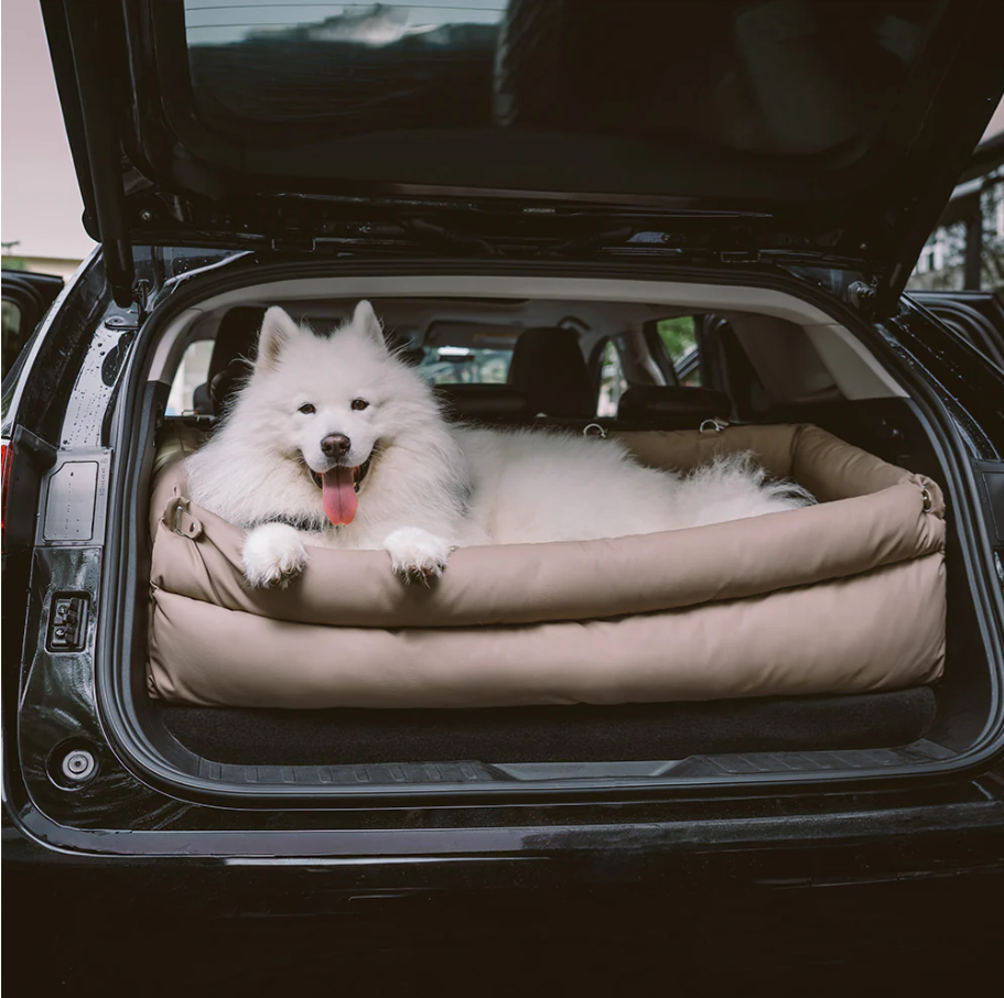 CloudyPaw™ Deluxe Back Seat Carrier