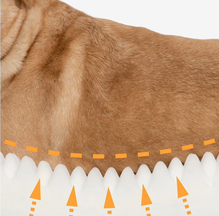 CloudyPaw™ Orthopedic Memory Foam Donut Bed
