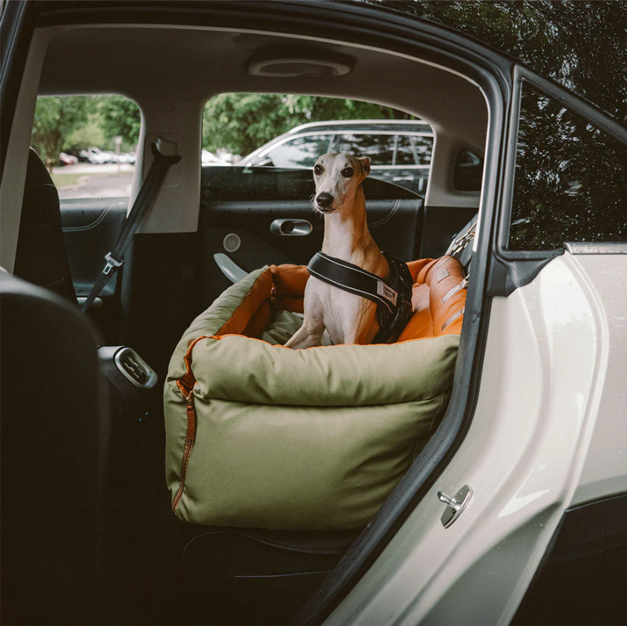 CloudyPaw™ Deluxe Back Seat Carrier