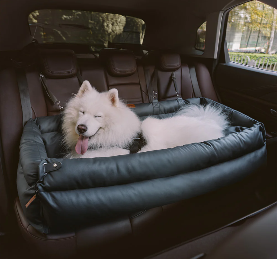 CloudyPaw™ Deluxe Back Seat Carrier