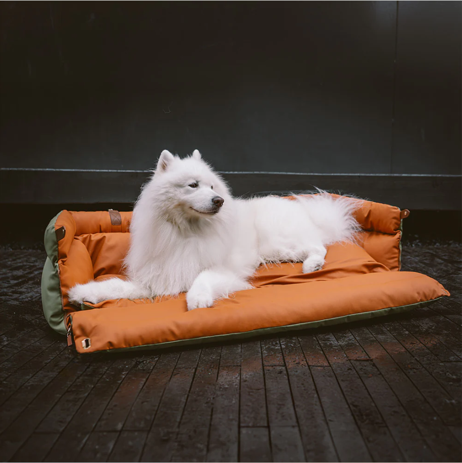 CloudyPaw™ Deluxe Back Seat Carrier