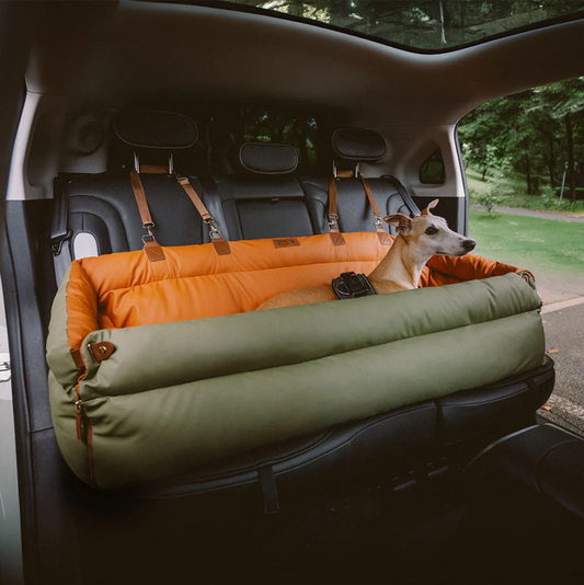 CloudyPaw™ Deluxe Back Seat Carrier