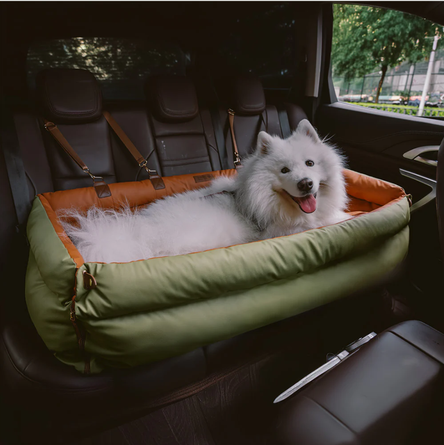 CloudyPaw™ Deluxe Back Seat Carrier