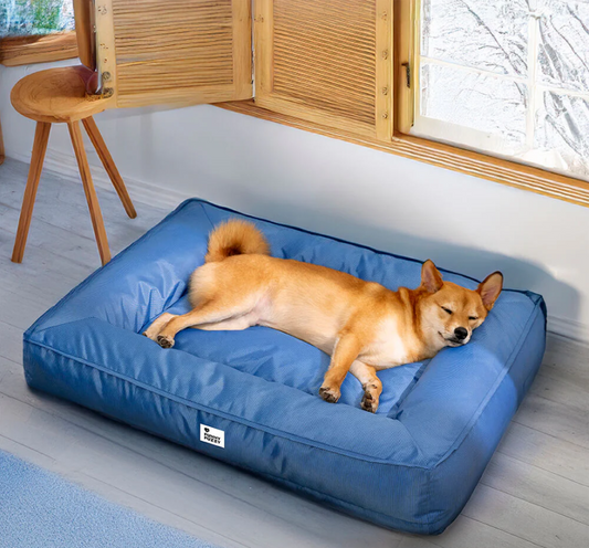 CloudyPaw™ Waterproof Oxford Bed
